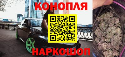 сатива Моздок